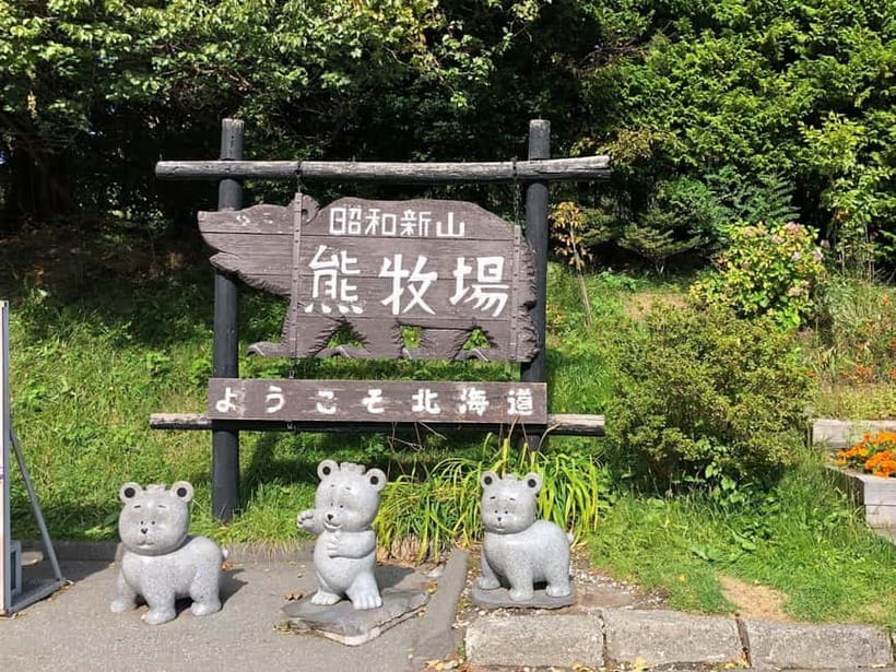 Hokkaido Tour:Sapporo to Noboribetsu, Lake Toya,Ice Festival - Guides, languages, and the feel of the ride