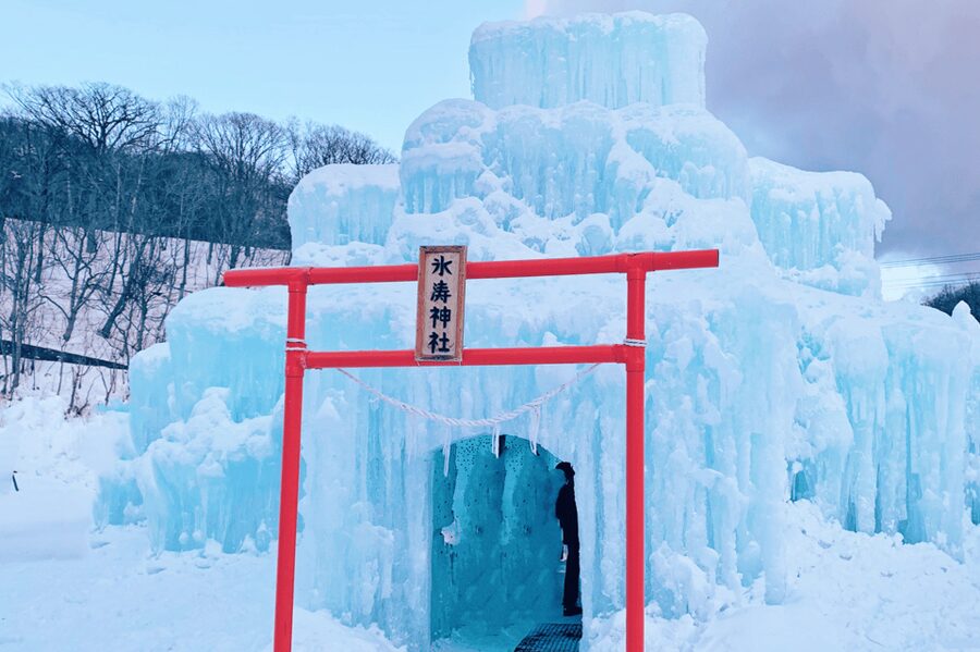 Hokkaido Tour:Sapporo to Noboribetsu, Lake Toya,Ice Festival - Should you book it?