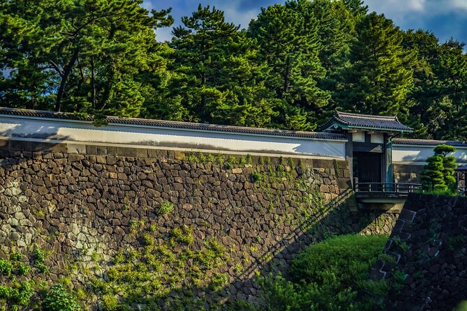 Imperial Palace East Garden and Edo Castle Walking Tour in Tokyo - A realistic look at walking, weather, and timing