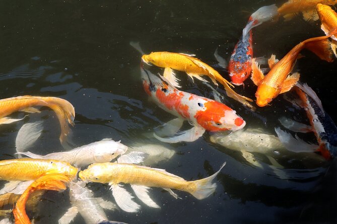 Imperial Palace East Garden and Edo Castle Walking Tour in Tokyo - What you will not see inside the Imperial Palace