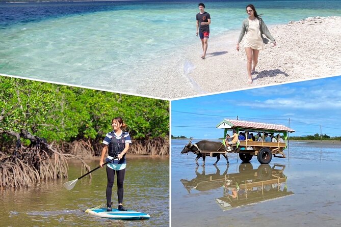 Iriomote 1 Day Mangrove SUP/Canoe, Barasu Island & Yubu Island - A practical lunch break at Uehara Port