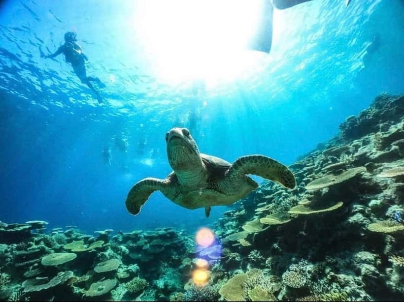 Iriomote: Boat Snorkeling Tour at Barasu Island - The safety lesson makes this a good first snorkeling trip