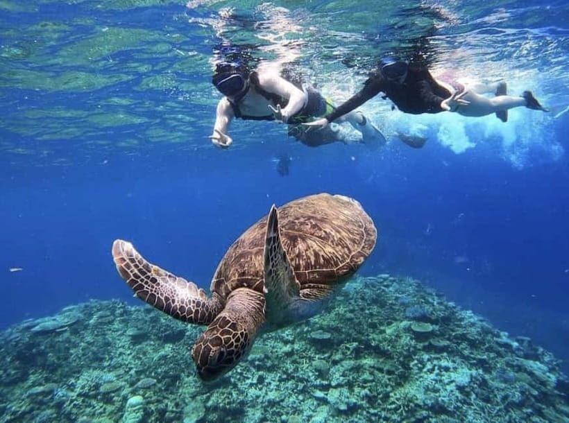 Iriomote: Boat Snorkeling Tour at Barasu Island - Equipment, wetsuits, and the hot shower