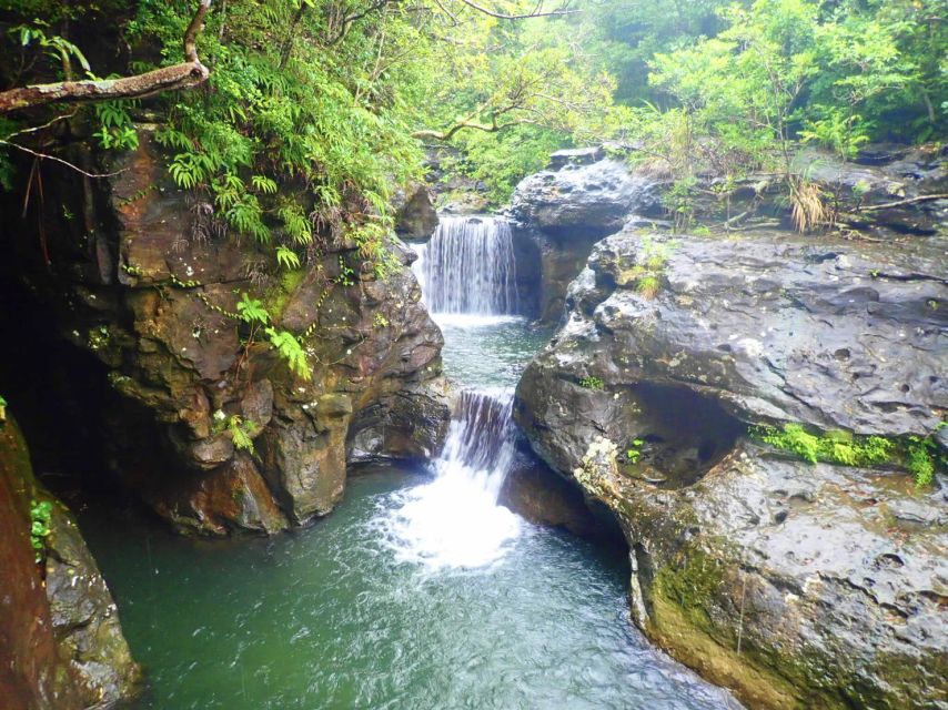 Iriomote Island: Guided 2-Hour Canyoning Tour - Rain, water conditions, and seasonal planning