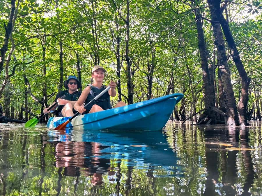 Iriomote island: Mangrove River SUP or Canoe Cruising Tour - Key points to know before you go