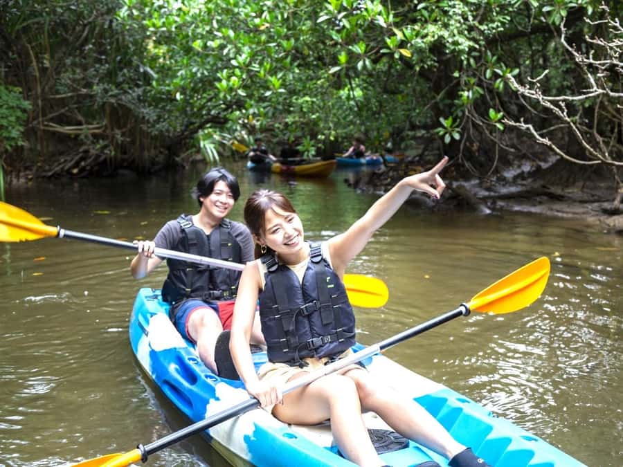 Iriomote island: Mangrove River SUP or Canoe Cruising Tour - Canoeing or SUP for about 90 minutes