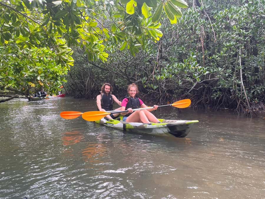 Iriomote island: Mangrove River SUP or Canoe Cruising Tour - The low-tide walk into the forest