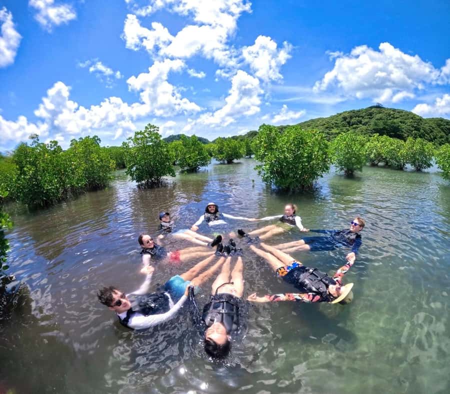 Iriomote island: Mangrove River SUP or Canoe Cruising Tour - Price, inclusions, and overall value