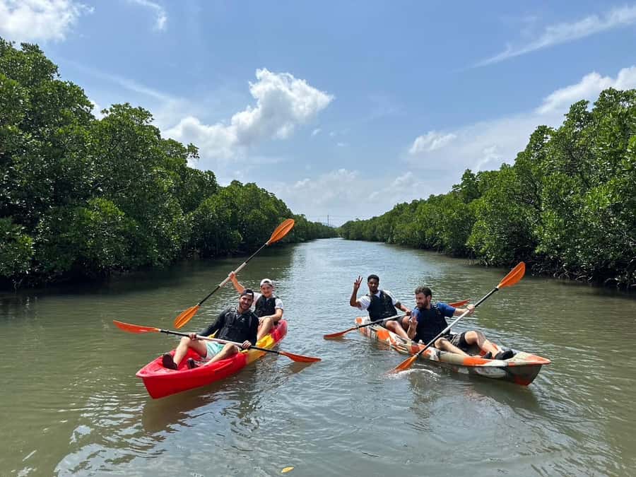 Iriomote island: Mangrove River SUP or Canoe Cruising Tour - Who should book this mangrove tour