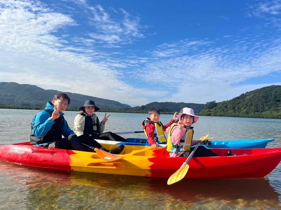 Iriomote island: Mangrove River SUP or Canoe Cruising Tour - Should you book it?