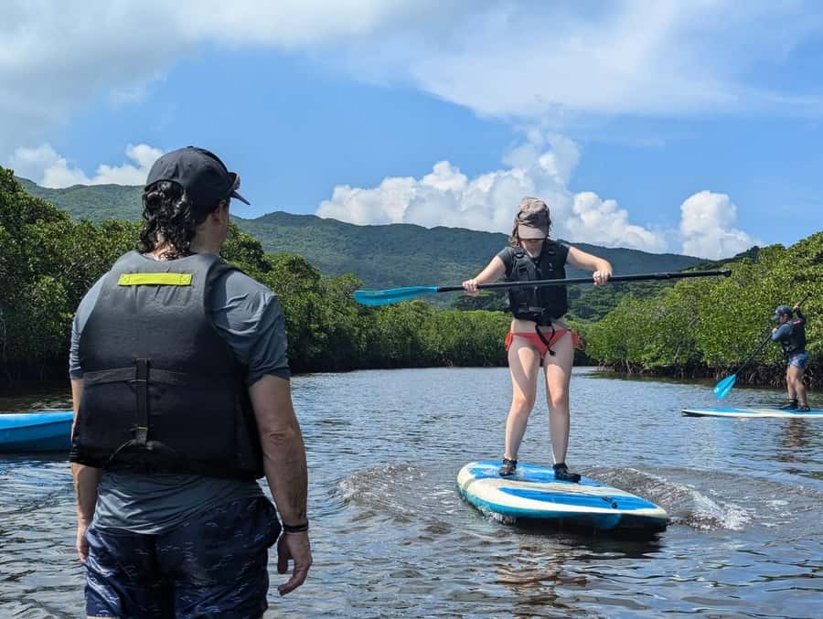 Iriomote island: Mangrove River SUP or Canoe Cruising Tour - Setting out from Uehara Port