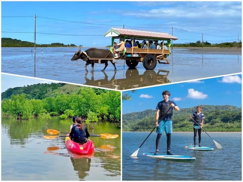 Iriomote: Mangrove SUP or Canoe and Yubujima sightseeing - What the guides add to the day