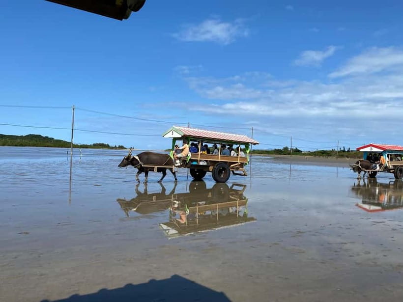 Iriomote: Mangrove SUP or Canoe and Yubujima sightseeing - Paddling through Iriomote’s mangrove river