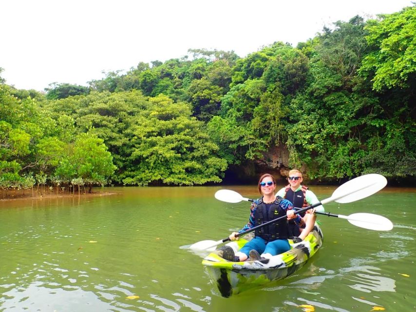 Ishigaki Island: 2-Hour Miyara River SUP or Canoeing Tour - Why the Miyara River is the right place to paddle