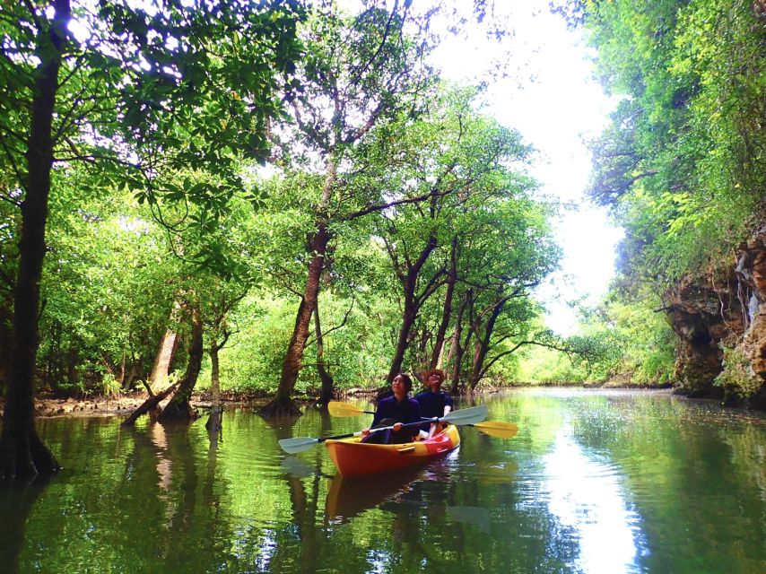 Ishigaki Island: 2-Hour Miyara River SUP or Canoeing Tour - FAQ