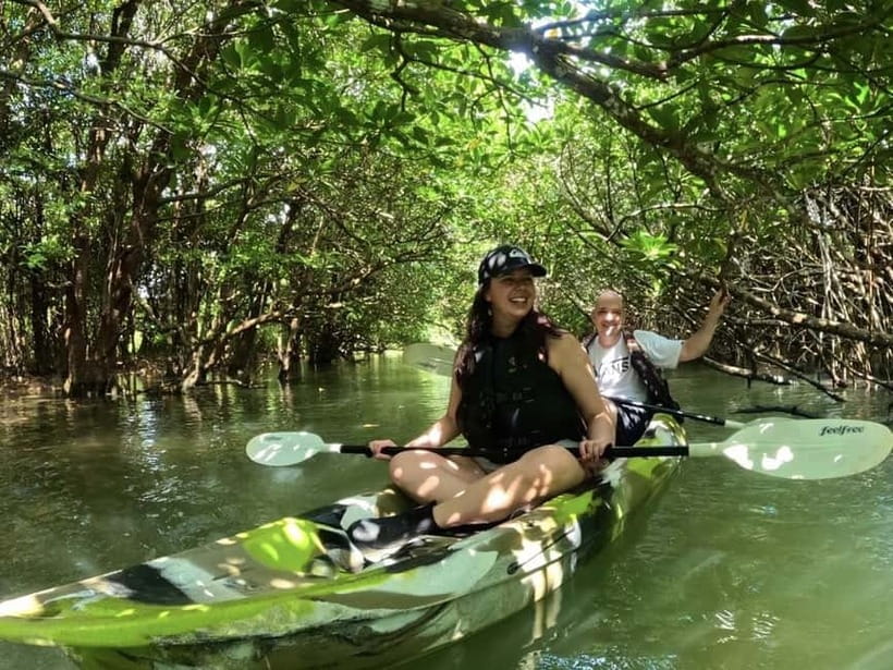 Ishigaki Island: 2-Hour Miyara River SUP or Canoeing Tour - What you might see beneath the mangrove canopy