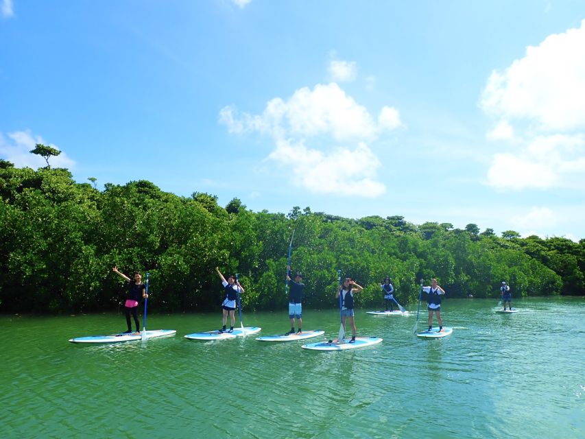 Ishigaki Island: 2-Hour Miyara River SUP or Canoeing Tour - A family outing, not a serious workout
