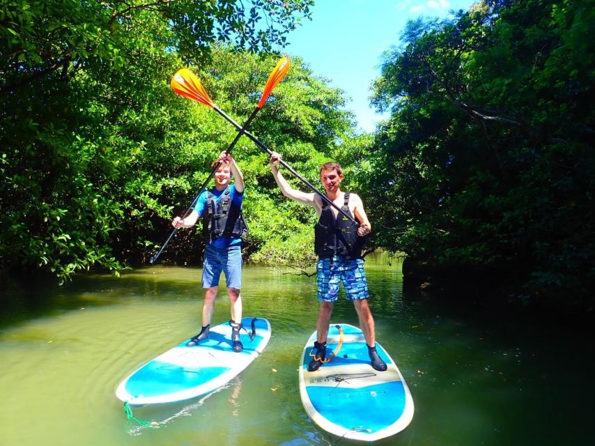 Ishigaki Island: 2-Hour Miyara River SUP or Canoeing Tour - Is $54 a fair price?