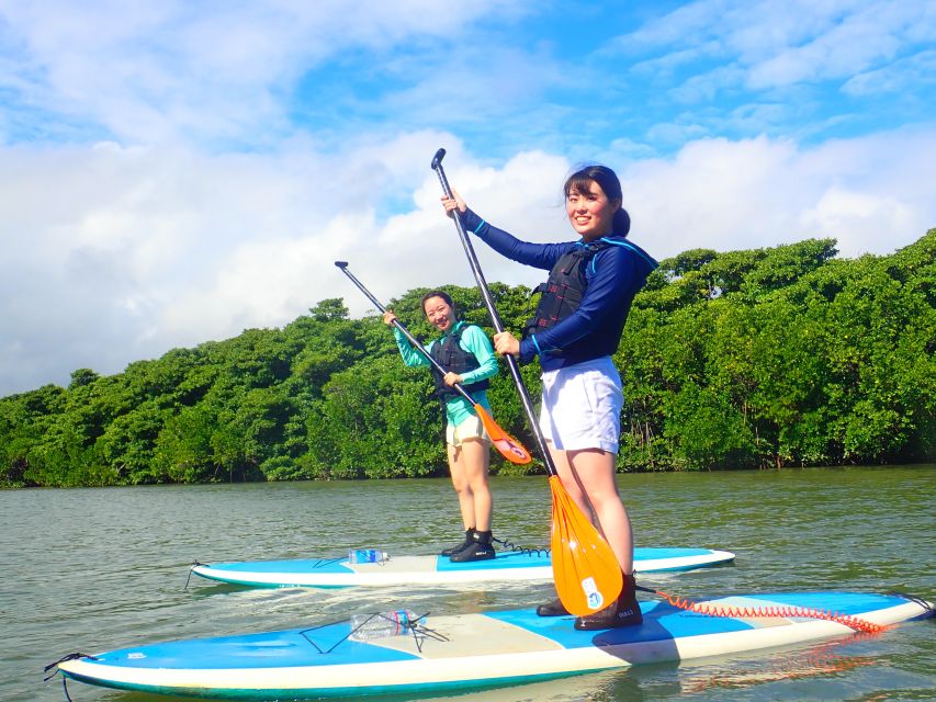 Ishigaki Island: 2-Hour Miyara River SUP or Canoeing Tour - Final decision: a gentle, worthwhile Ishigaki outing