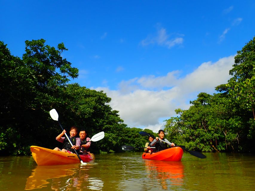 Ishigaki Island: 2-Hour Miyara River SUP or Canoeing Tour - The 75-minute paddle through Miyara River