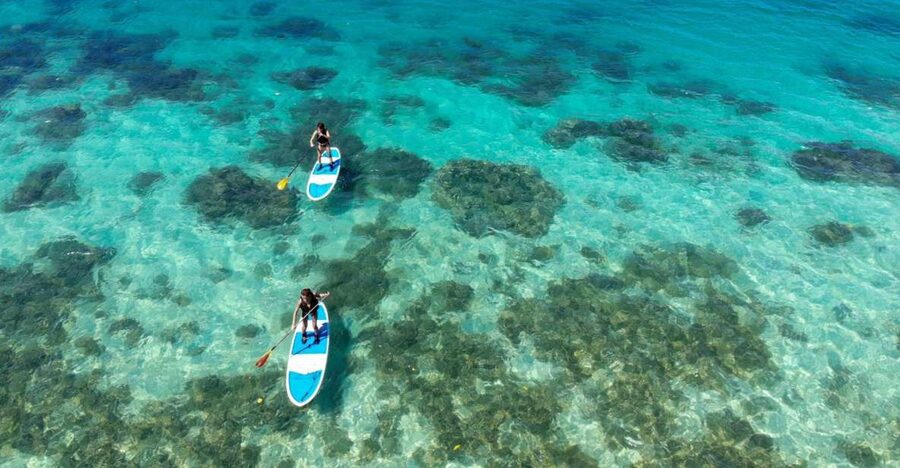 Ishigaki Island: SUP or Kayaking experience at Kabira Bay - About an hour on Kabira Bay