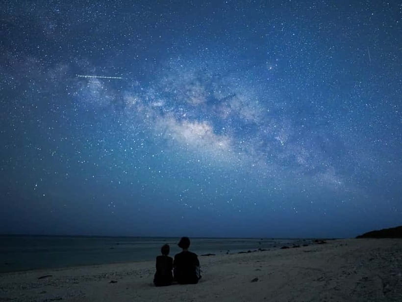 Ishigaki: Jungle Walk and Stargazing Night Tour - Key points at a glance
