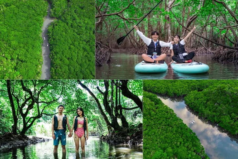 Ishigaki:Mangrove&Sea SUP/Kayak Tour with SLR&Drone footage - Learning the basics before paddling