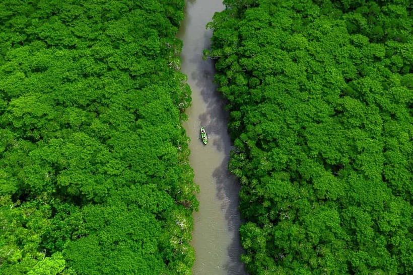 Ishigaki:Mangrove&Sea SUP/Kayak Tour with SLR&Drone footage - From mangrove channels to open water