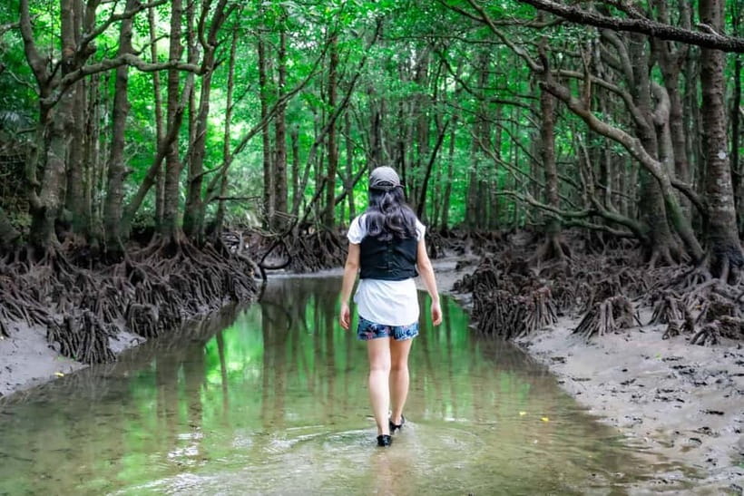 Ishigaki:Mangrove&Sea SUP/Kayak Tour with SLR&Drone footage - Who will get the most from this outing