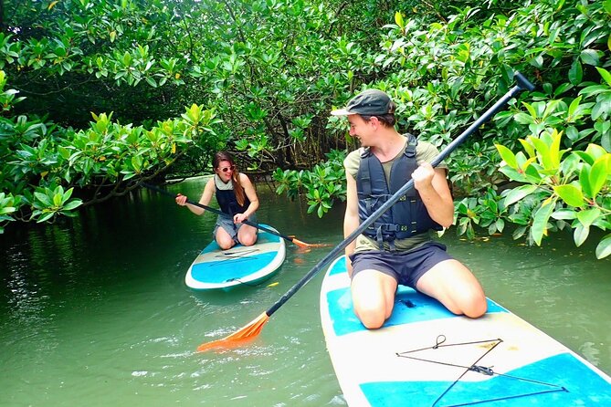[Ishigaki]Mangrove SUP/Canoe + Blue Cave Snorkeling - Miyara River brings a quieter start