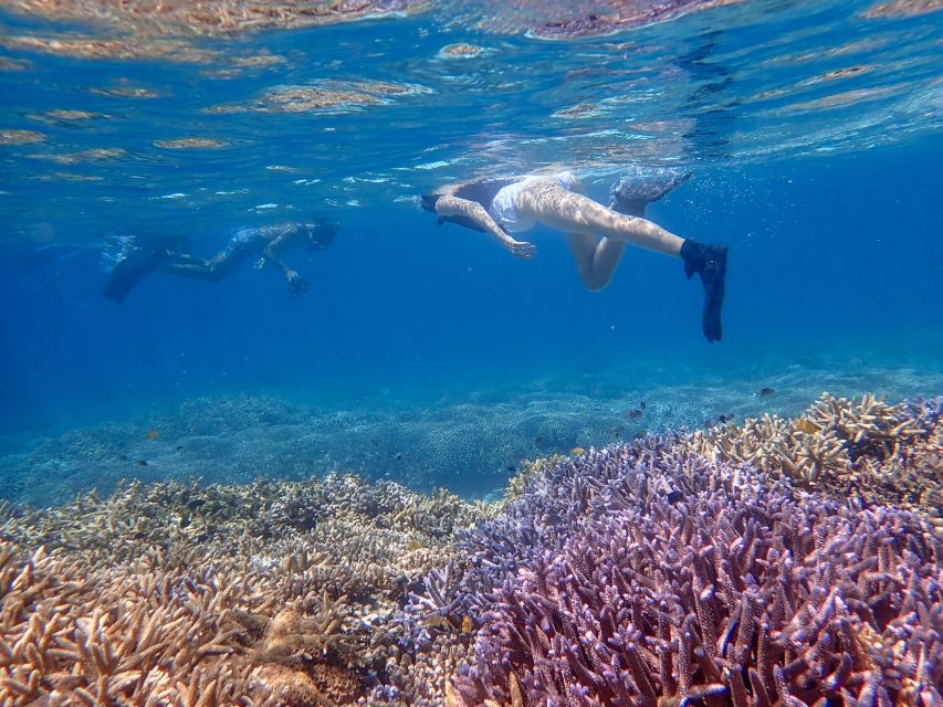 Ishigaki: Phantom Island Snorkeling and Taketomi Sightseeing - Who Will Enjoy This Ishigaki Day