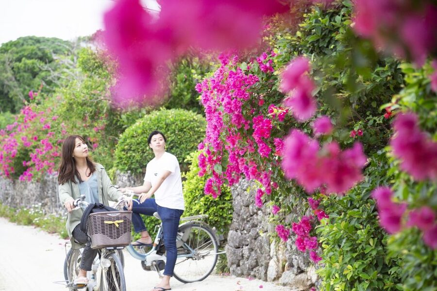 Ishigaki: Phantom Island Snorkeling and Taketomi Sightseeing - Should You Book It?