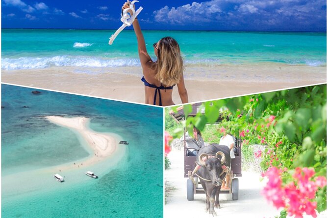 Ishigaki Phantom Island Snorkeling Taketomi Island Sightseeing - Key points to know before booking