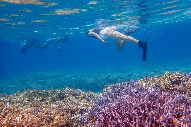 Ishigaki Phantom Island Snorkeling Taketomi Island Sightseeing - Weather changes are part of the deal