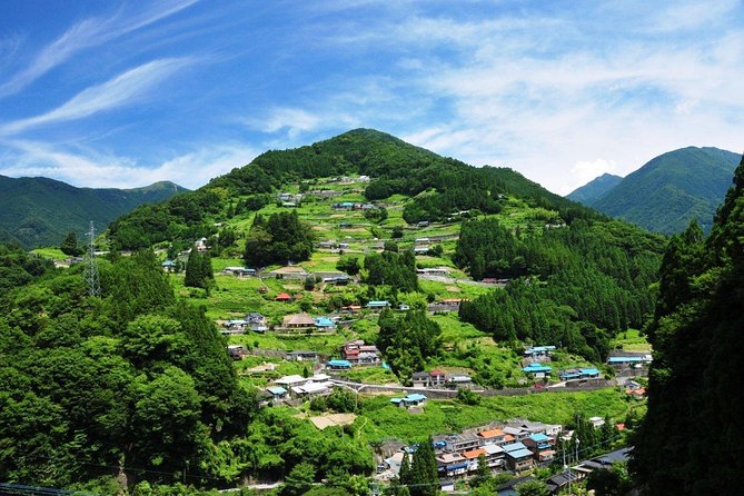 Iya Valley All Must-Sees Private Chauffeur Full-day Tour with a Driver - Oku-Iya’s double bridges