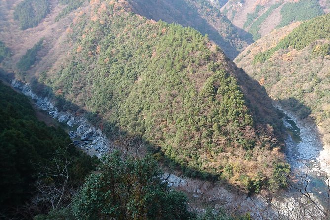 Iya Valley BROMPTON Slow Cycling Tour - Three hours through Iyakei Valley