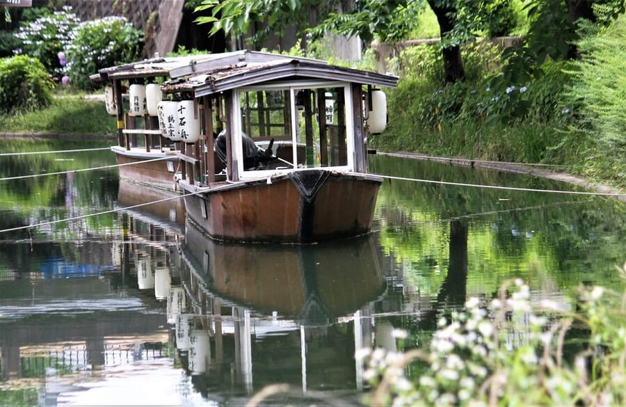 Japanese Sake Breweries Tour in Kyoto Fushimi - Who should take this Fushimi walk