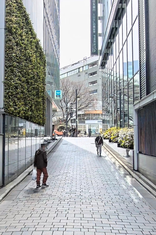 Kabukicho Macabre Tour - the Real Tokyo Vice - Yakuza game and Tokyo Vice connections