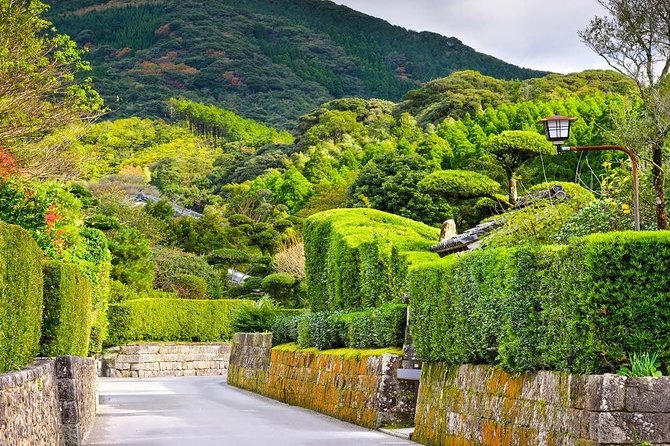 Kagoshima Full-Day Private Tour with Government-Licensed Guide - What the guides add