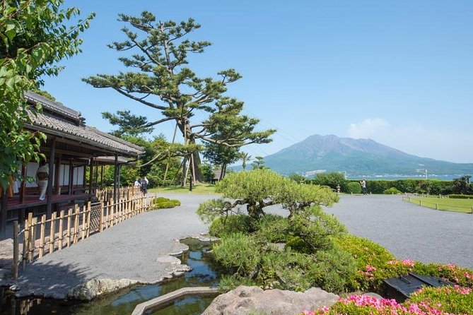 Kagoshima Full-Day Private Tour with Government-Licensed Guide - Timing, transport, and practical costs