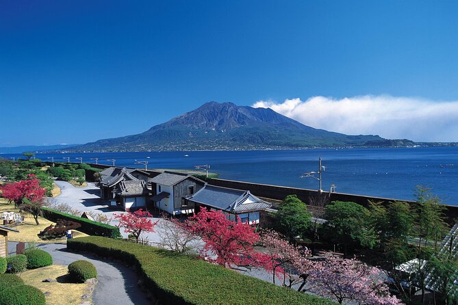 Kagoshima Highlights Private Tour, Sakurajima Volcano and more - Tenmonkan turns lunch into part of the tour