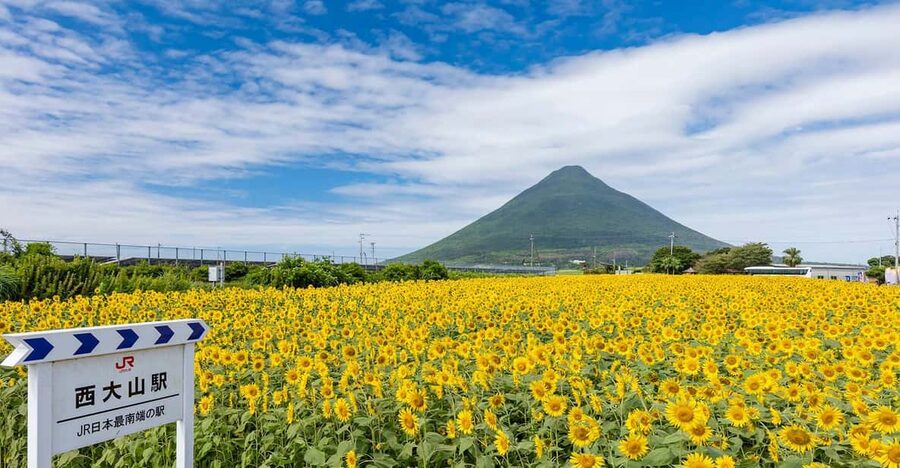 Kagoshima: Ibusuki City and Mount Kaimon Dake Tour - Is $206 a fair price?