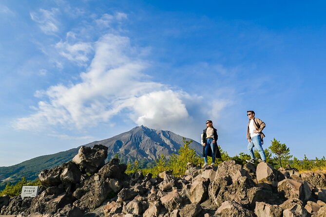 Kagoshima Private & Custom Tour with Licensed Guide and Vehicle - Service that works well for real families
