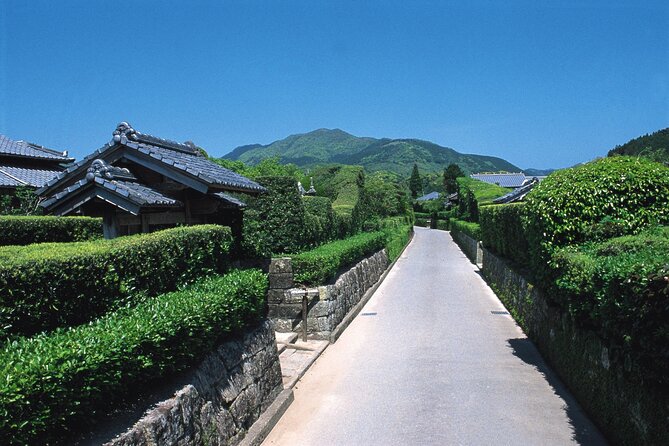 Kagoshima Private & Custom Tour with Licensed Guide and Vehicle - Sakurajima by footbath and observation point