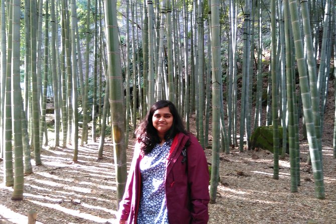 Kamakura 4hr Private Trip with Government-Licensed Guide - Smaller temples for a quieter route
