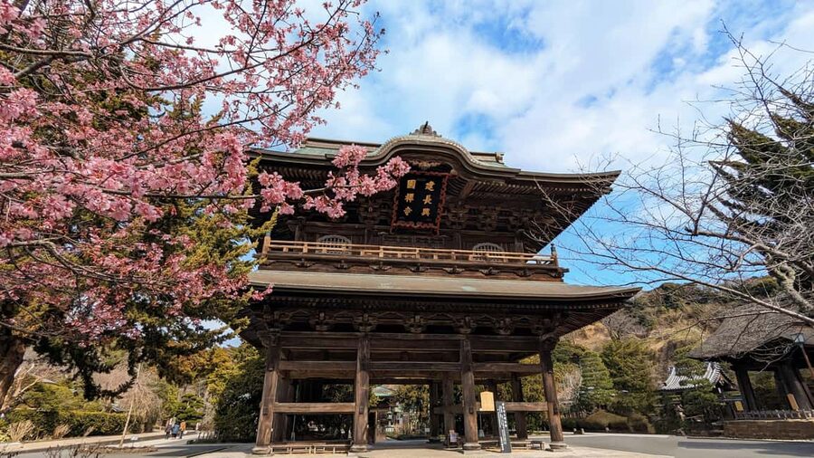 Kamakura: A Journey Through Medieval Japan - Enoshima adds sea air, shrines, and a little kitsch