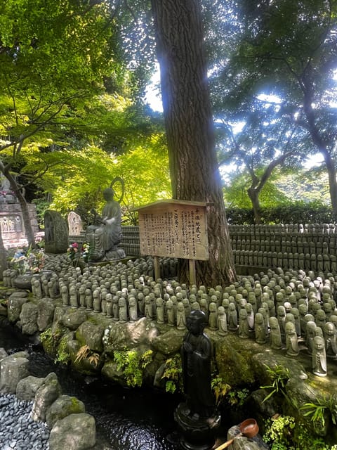 Kamakura and Enoshima: Private Guided Day Tour with Vehicle - Hase-dera, gardens, and the coast