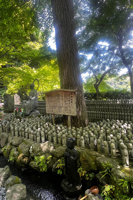 Kamakura and Enoshima: Private Guided Day Tour with Vehicle - Enoshima’s shrine paths and island views