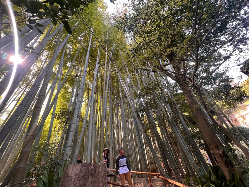 Kamakura and Enoshima: Private Guided Day Tour with Vehicle - The Great Buddha at Kotoku-in