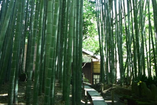 Kamakura Bamboo Forest and Great Buddha Private Tour - Hokoku-ji and its 2,000 bamboo stalks